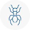 Ant Removals In Worthing