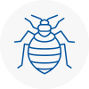 Bed Bug Extermination In Worthing