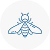 Bee Nest Removal Worthing