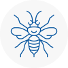 Worthing Hornet Nest Removals