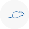 Mice Exterminators In Worthing