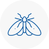 Moth Control Specialists In Worthing