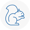 Worthing Rodent Removals