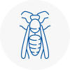 Worthing Wasp Nest Removal